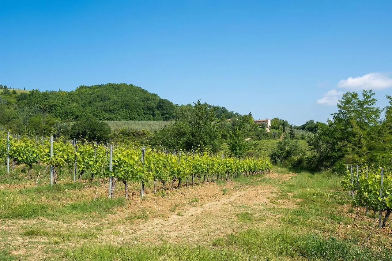La Casa Di Madina - Flo Apartments Montespertoli Italy